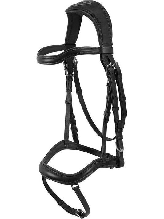 Testiera anatomica Allegoria