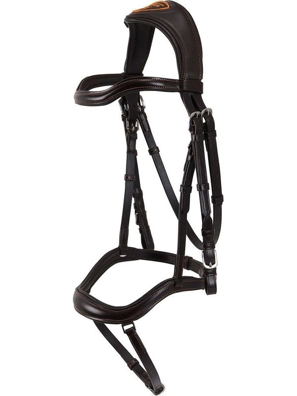 Testiera anatomica Allegoria