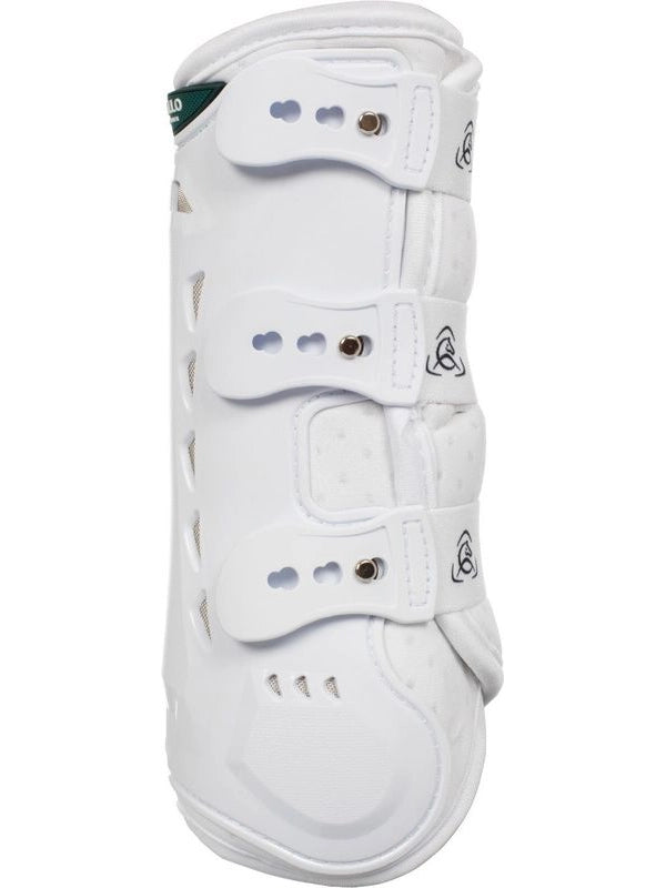 Stinchiere dressage anteriori anatomiche