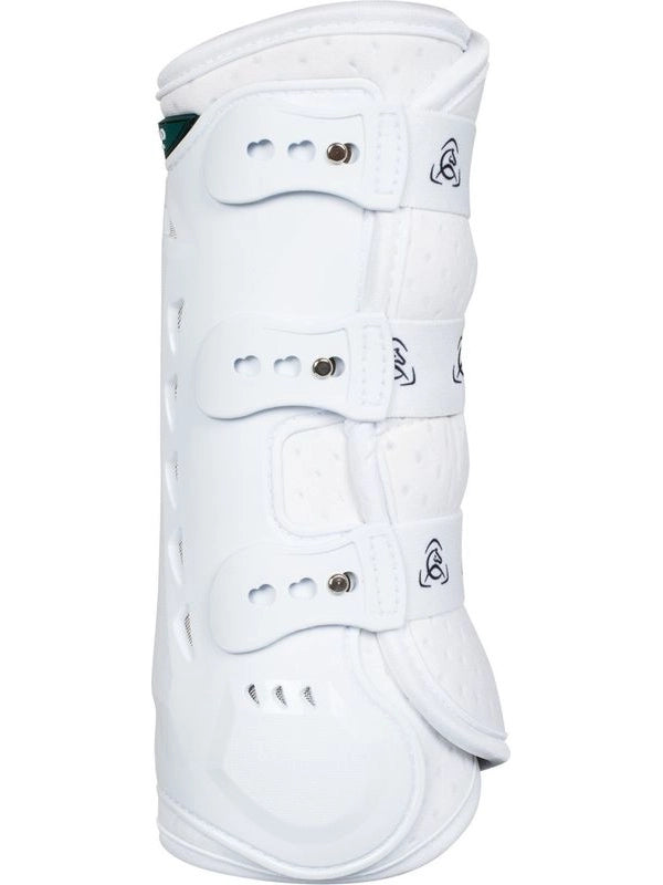 Stinchiere dressage posteriori anatomiche