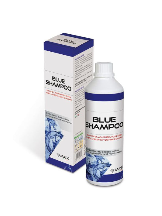 Blue Shampoo rider & horse