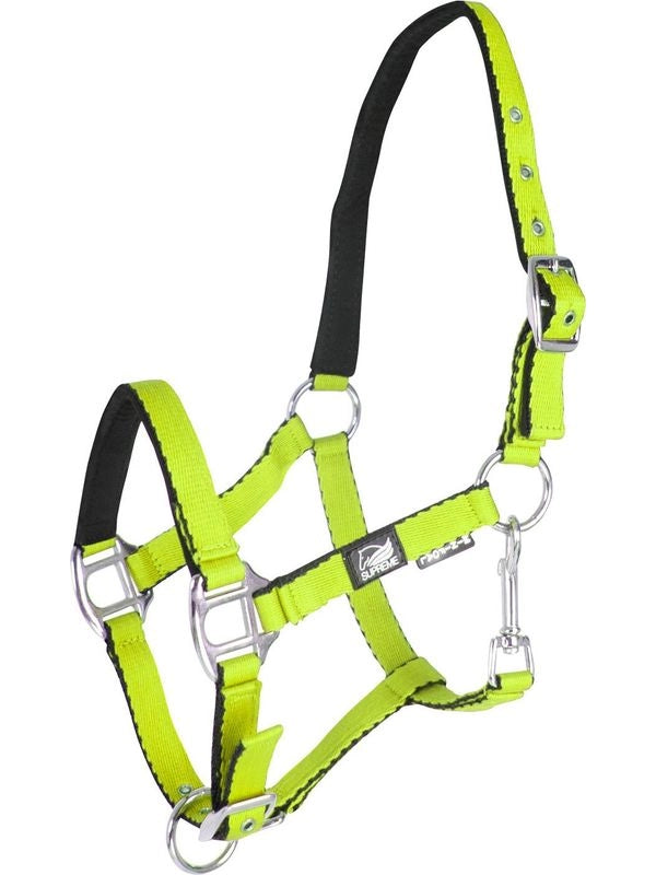 Cavezza puledro imbottita soft touch supreme
