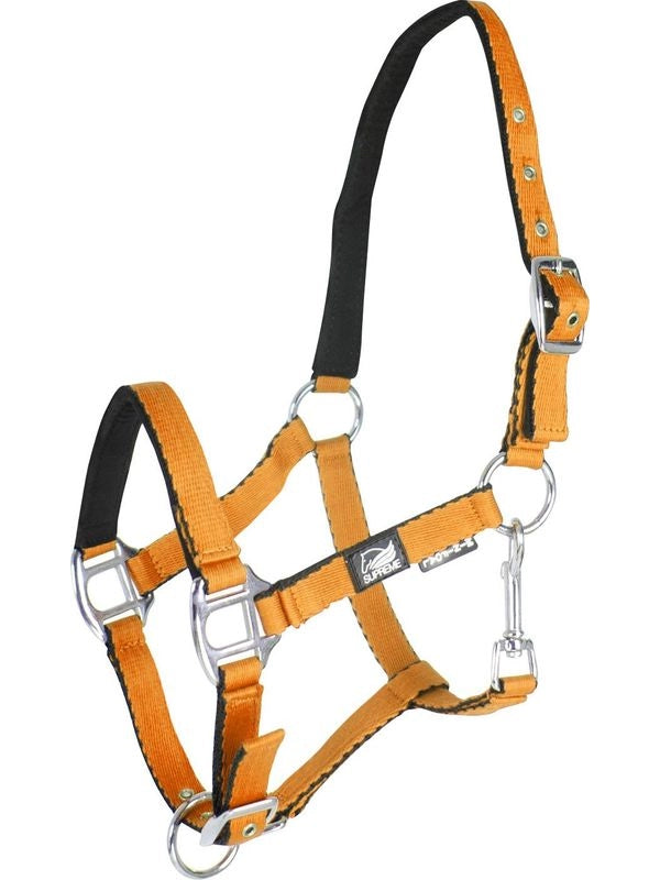 Cavezza puledro imbottita soft touch supreme