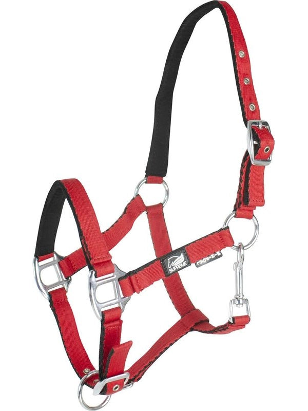 Cavezza puledro imbottita soft touch supreme