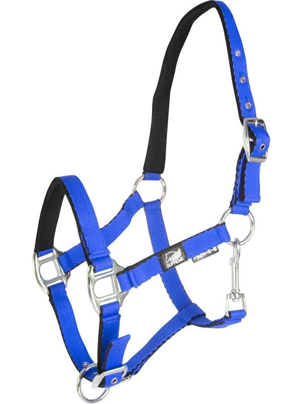 Cavezza puledro imbottita soft touch supreme