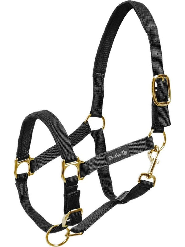 Cavezza in nylon con rinforzo in neoprene