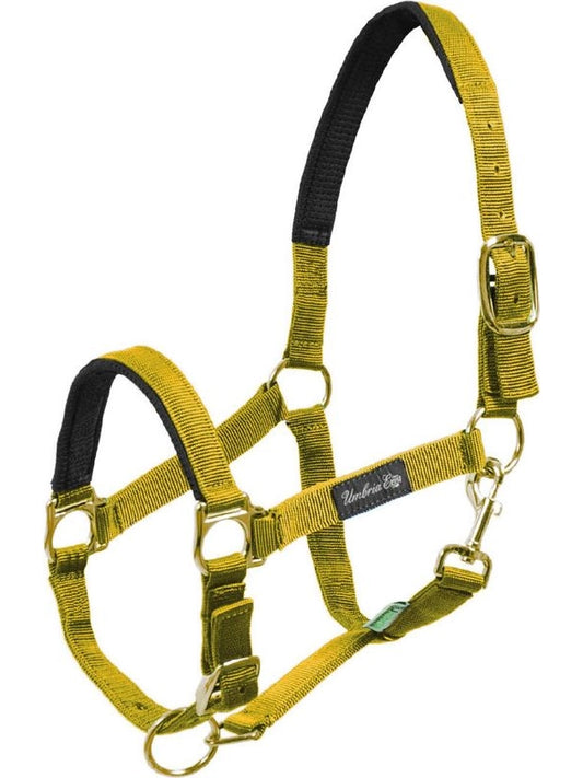 Cavezza in nylon con rinforzo in neoprene