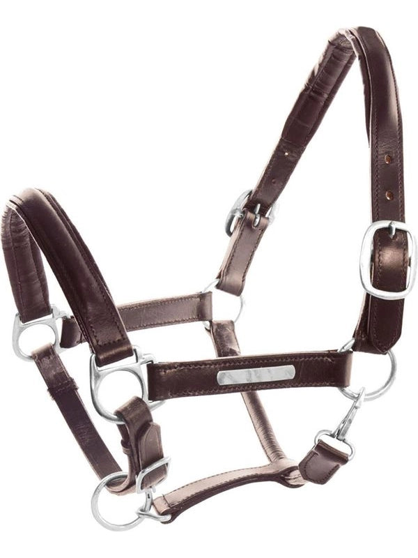 Cavezza cuoio doppiato fibbie ottone
