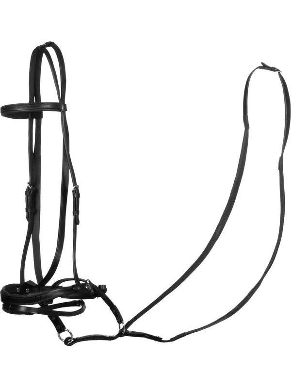 Testiera bittless horse ball c/redini