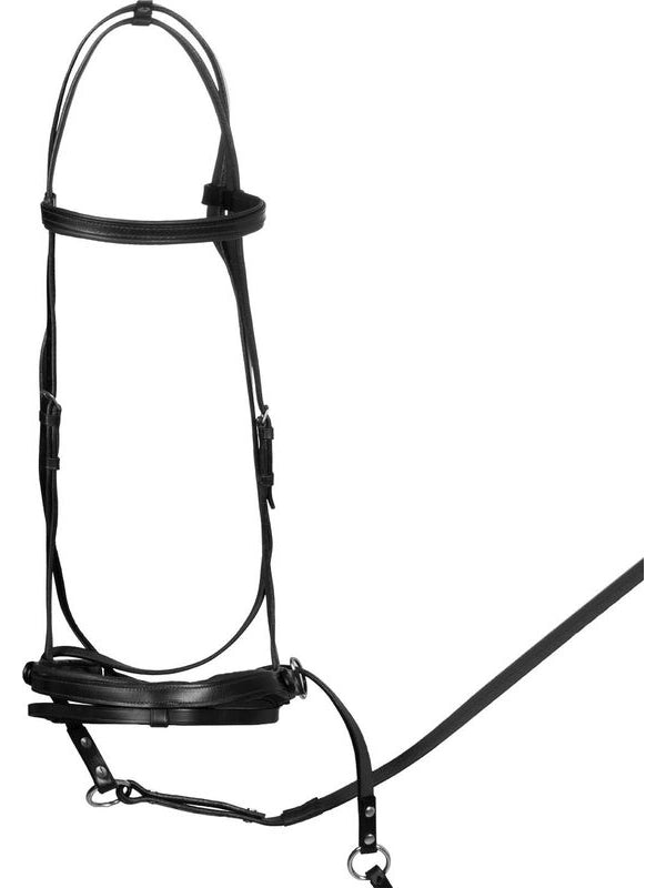 Testiera bittless horse ball c/redini