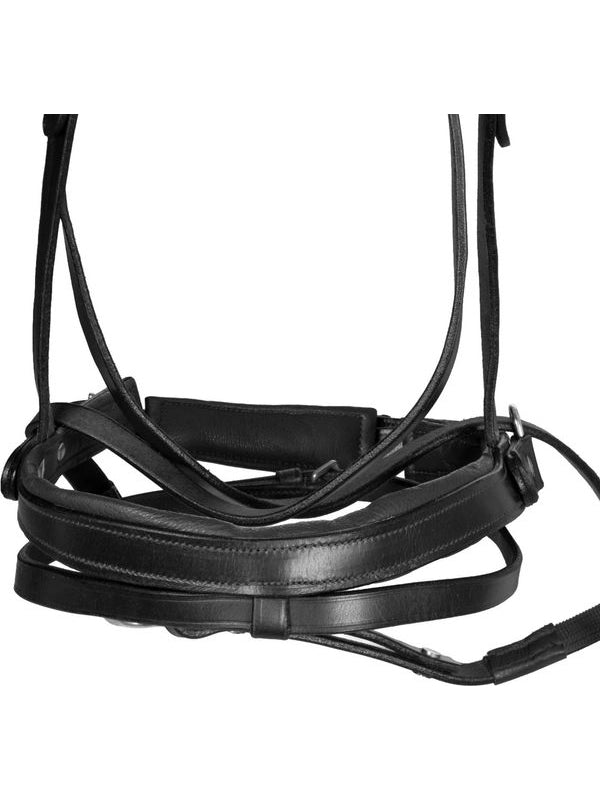 Testiera bittless horse ball c/redini