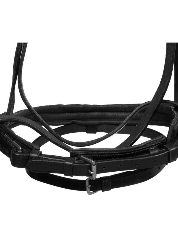 Testiera bittless horse ball c/redini