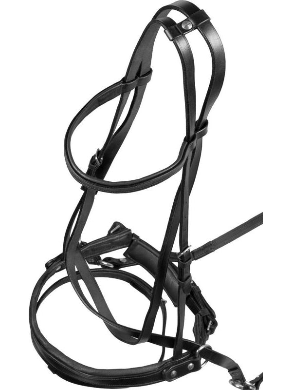 Testiera bittless horse ball c/redini