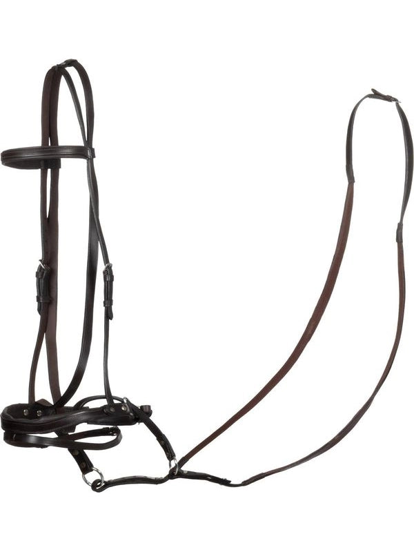 Testiera bittless horse ball c/redini