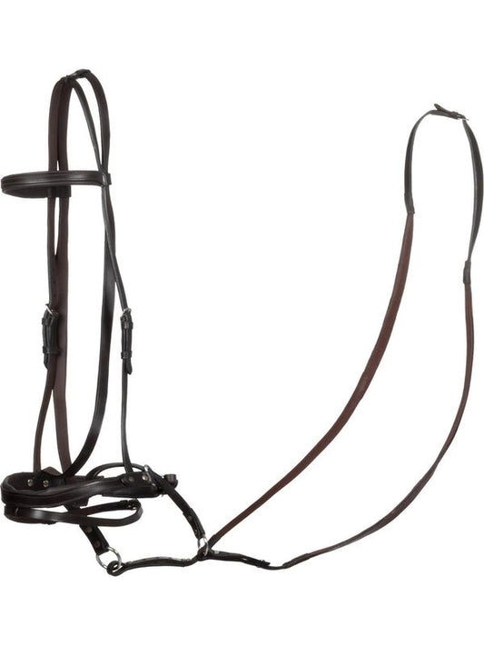 Testiera bittless horse ball c/redini