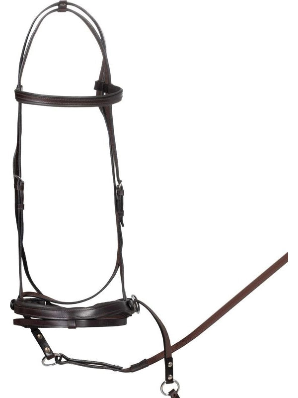 Testiera bittless horse ball c/redini