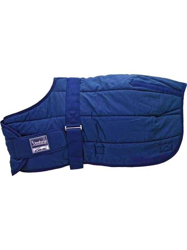 Coperta box puledro 250 gr modello foal