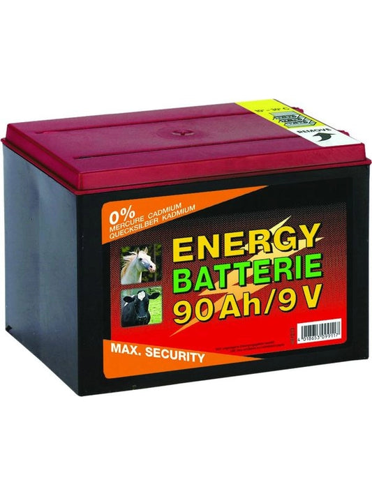 Batteria 10000h