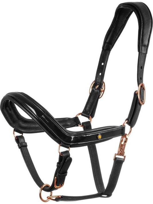 Cavezza cuoio lucido fibbie rose gold