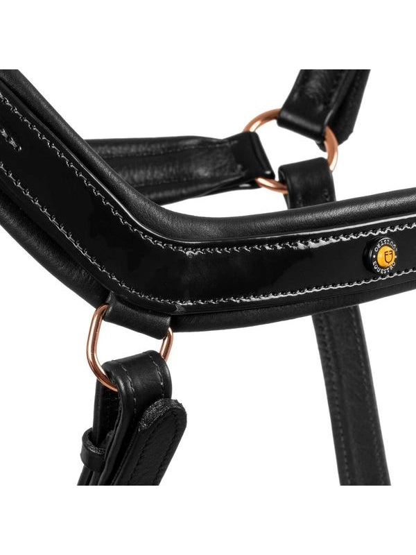Cavezza cuoio lucido fibbie rose gold