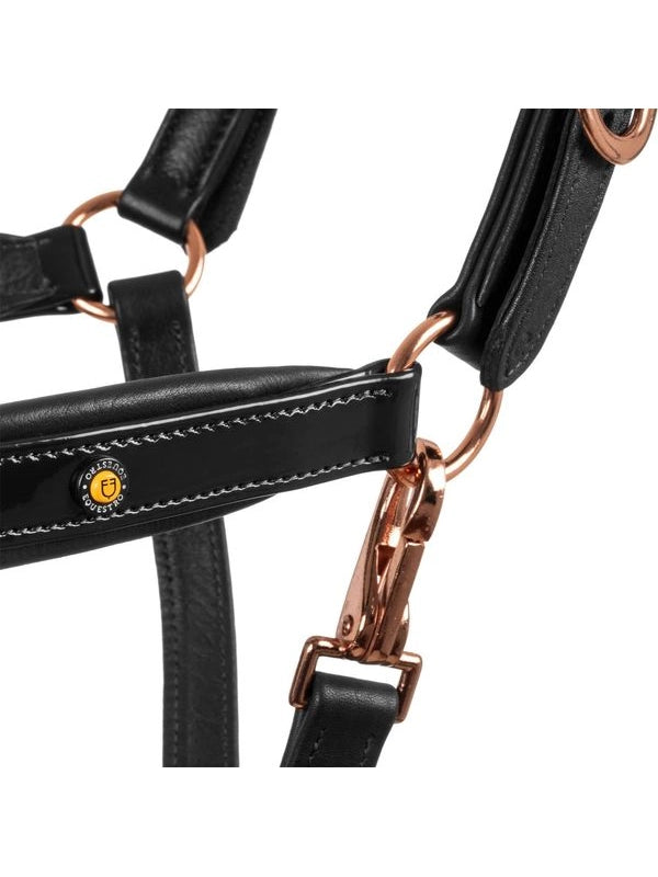 Cavezza cuoio lucido fibbie rose gold