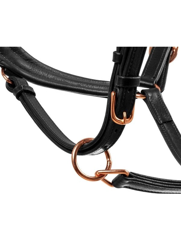 Cavezza cuoio lucido fibbie rose gold