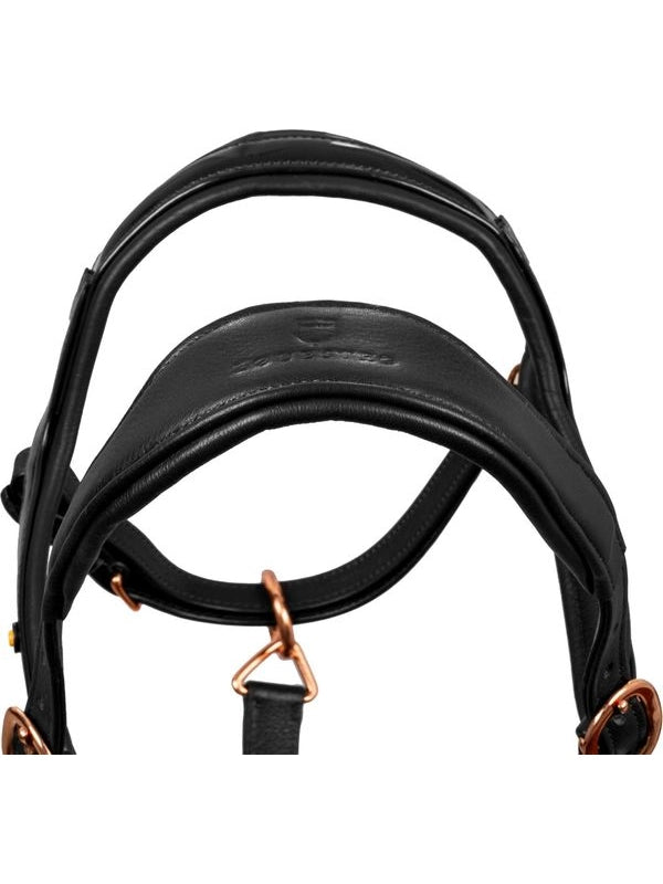 Cavezza cuoio lucido fibbie rose gold