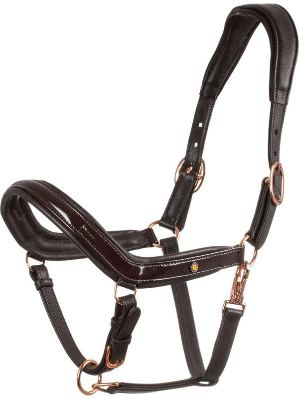 Cavezza cuoio lucido fibbie rose gold