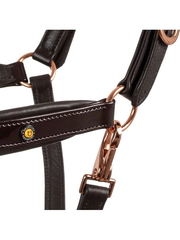 Cavezza cuoio lucido fibbie rose gold