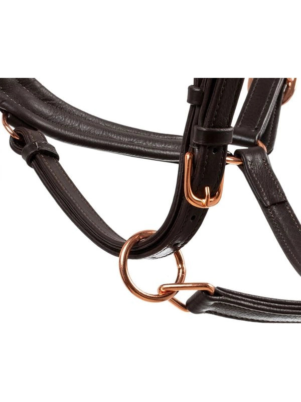 Cavezza cuoio lucido fibbie rose gold