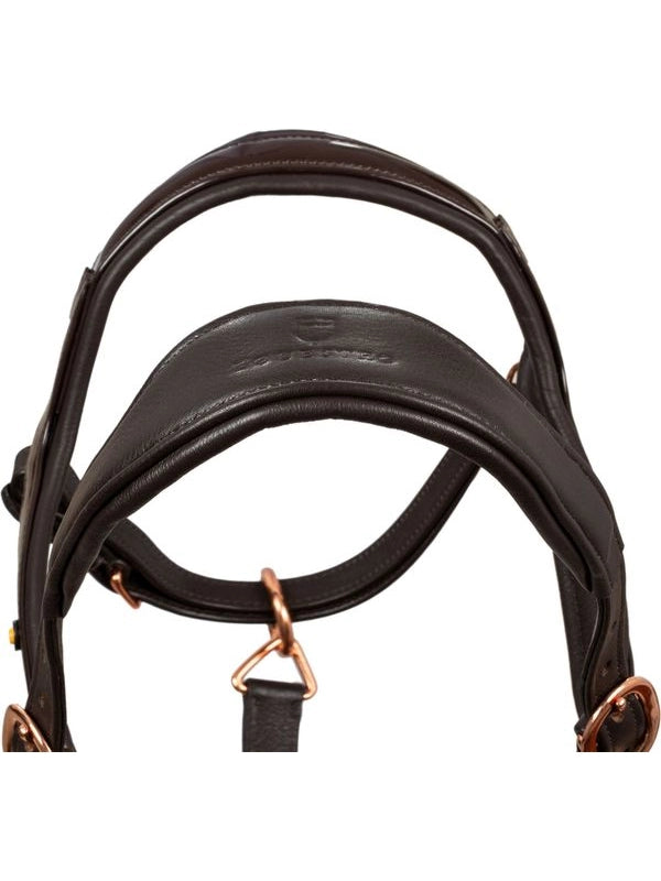 Cavezza cuoio lucido fibbie rose gold