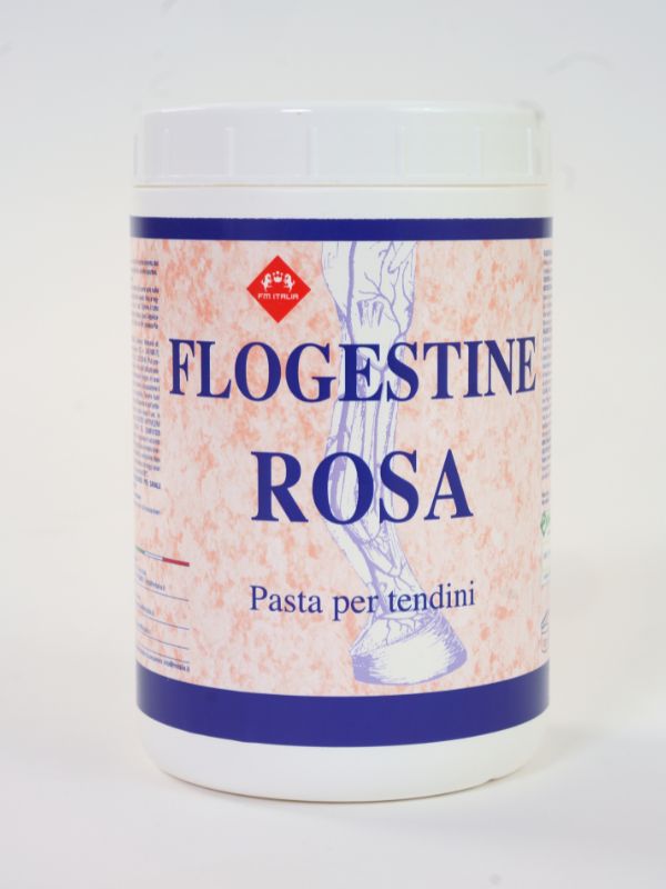 Flogestina rosa rider & horse
