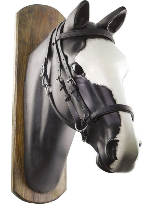 Testiera biothane horse ball c/redini