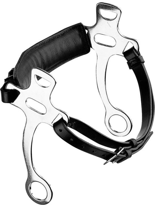 Hackamore black