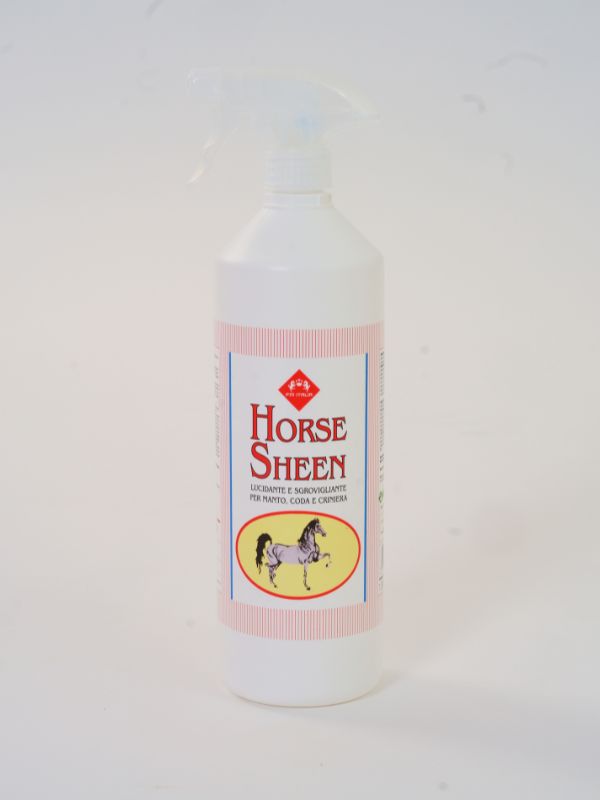 Horse sheen rider & horse