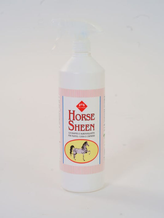 Horse sheen rider & horse