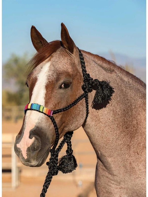 Cowboy braided halter
