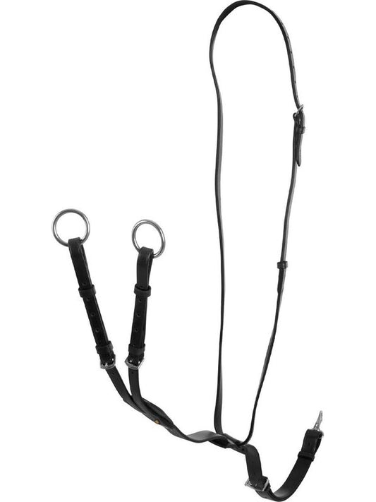 Martingala a collier cuoio fibbie regolabili