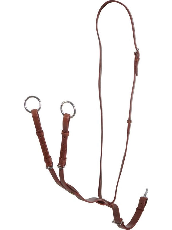 Martingala a collier cuoio fibbie regolabili