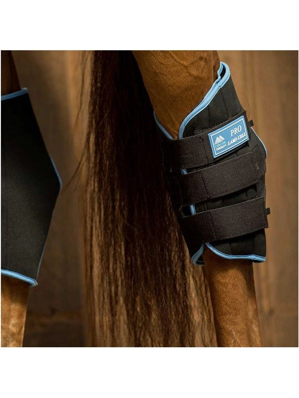 Ice hock boots
