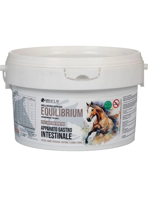 Equilibrium (2 kg)
