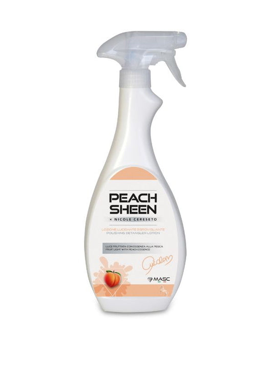 Peach Sheen districante rider & horse