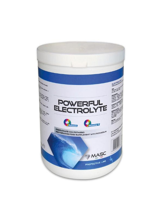 Powerful Electrolyte rider & horse