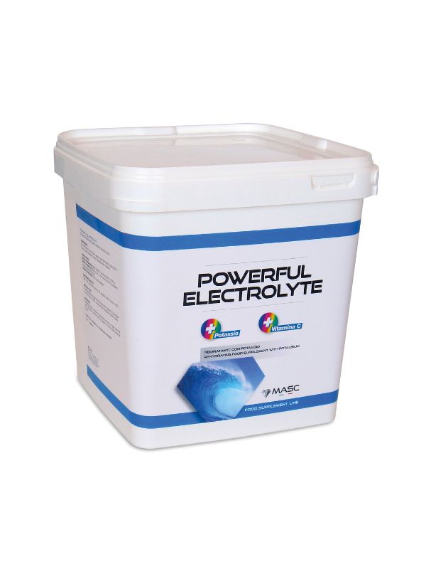Powerful Electrolyte rider & horse