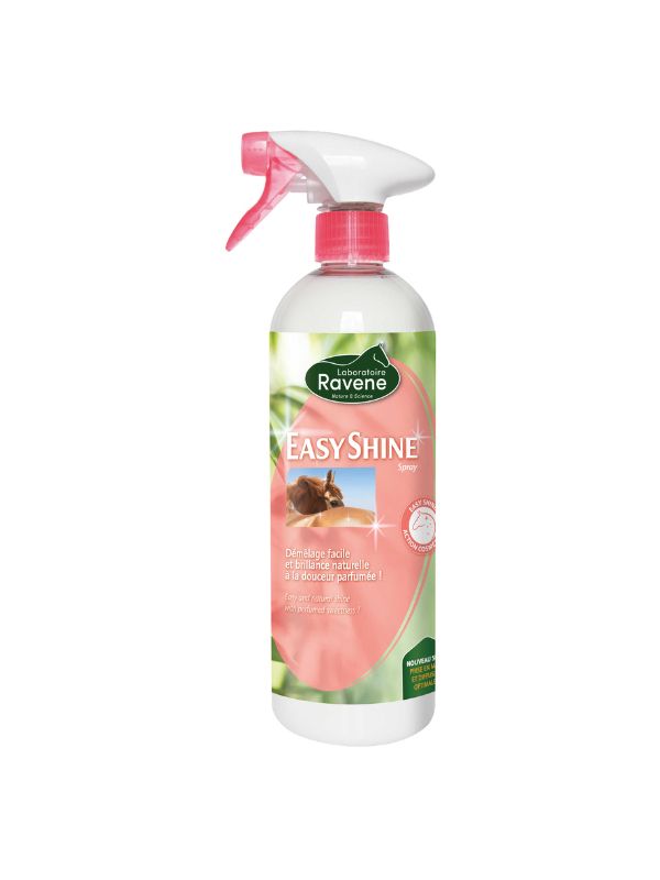 Districante Easy Shine rider e horse