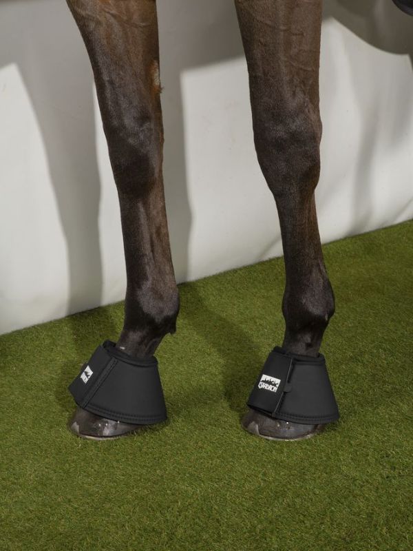 Paraglomi All round Eskadron rider e horse