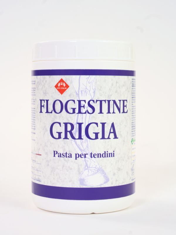 Flogestina grigia rider e horse