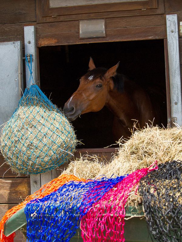 Rete per fieno rider e horse