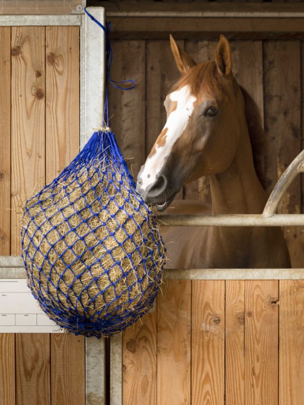 Rete per fieno rider e horse