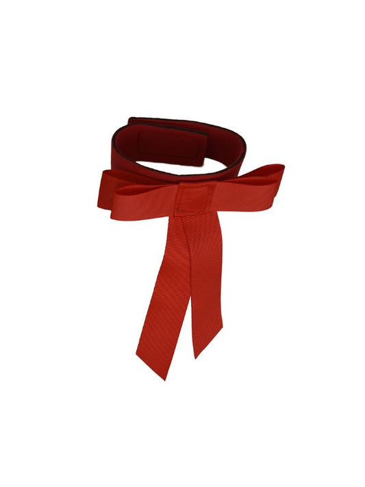 Fiocco rosso rider e horse